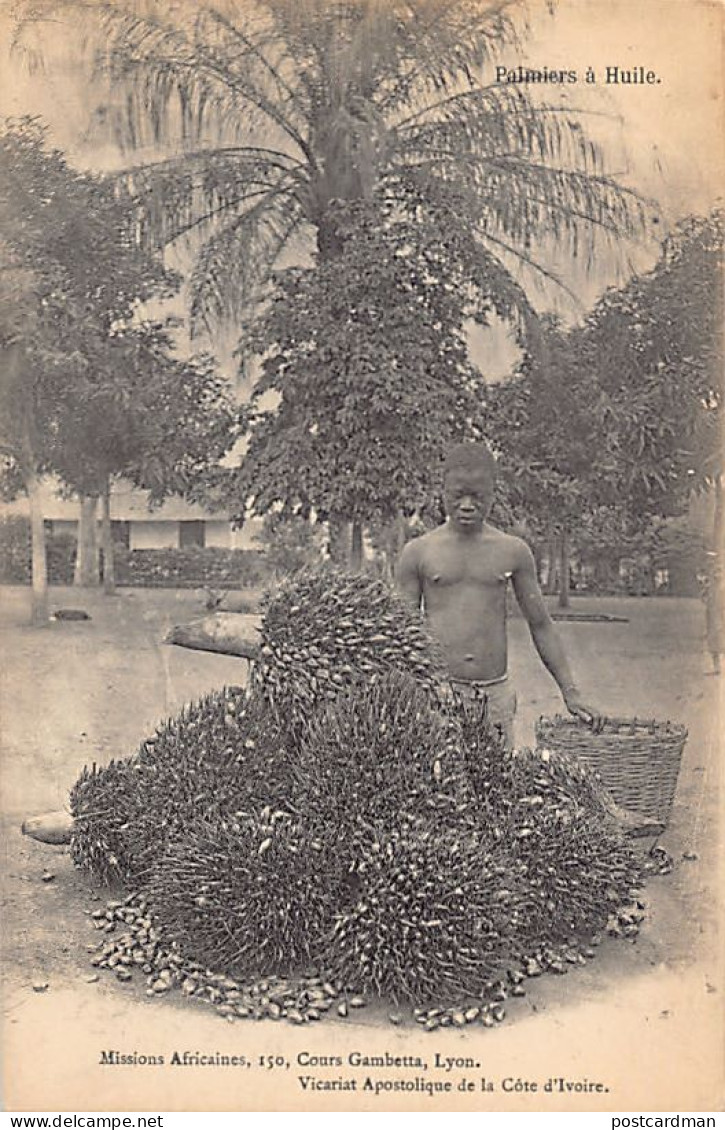 Côte D'Ivoire - Palmiers à Huile - Ed. Missions Africaines  - Côte-d'Ivoire