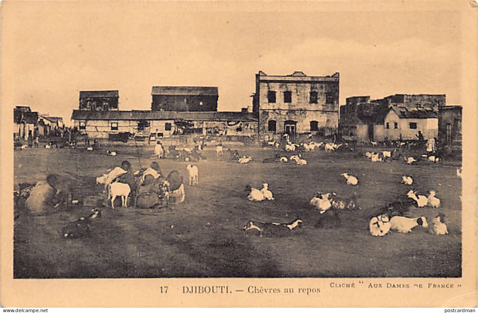 Djibouti - Chèvres Au Repos - Ed. Aux Dames De France 17 - Djibouti