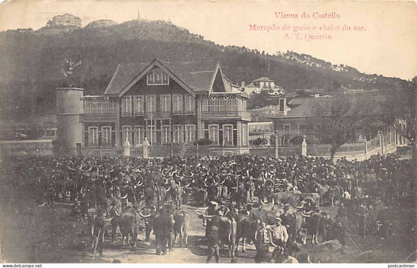 Portugal - VIANA DO CASTELO - Mercado De Gado E Chalet Do Sur - Ed. A. T. Quartin  - Viana Do Castelo