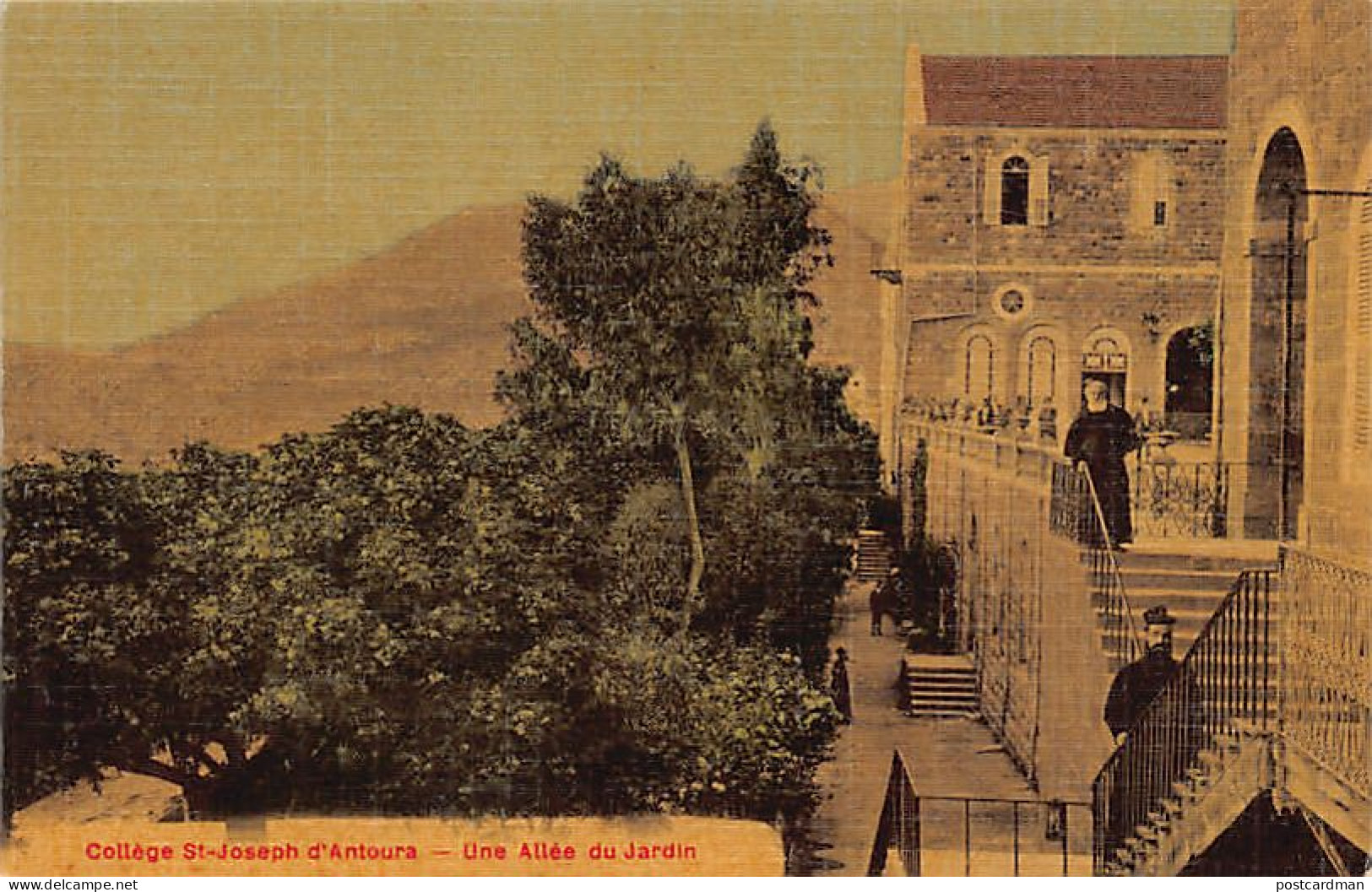 Liban - Collège St-Joseph D'Antoura - Une Allée Du Jardin - Ed. A. Breger Frères  - Liban