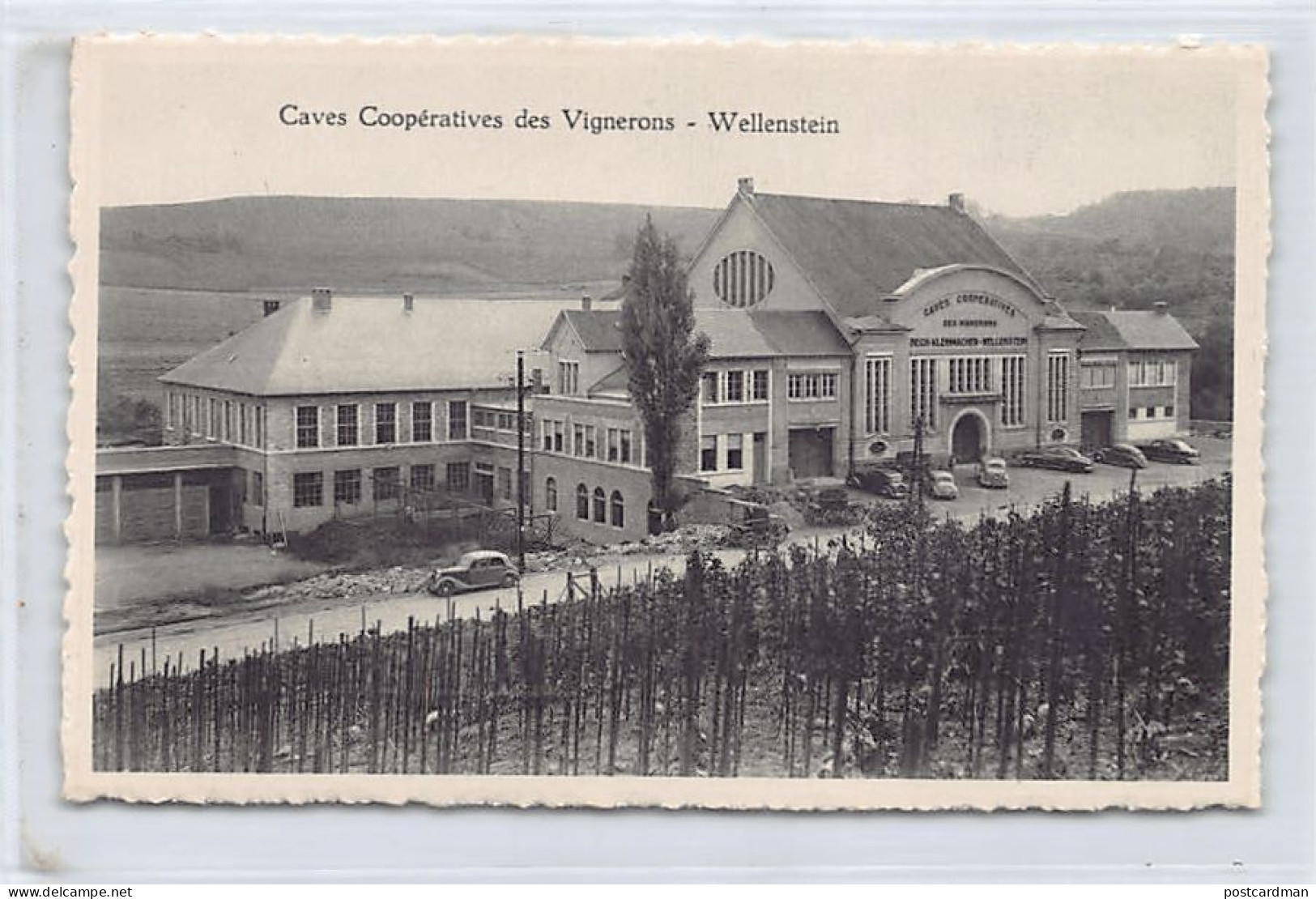 Luxembourg - WELLENSTEINCaves Coopératives Des Vignerons - Vue Extérieure Des Bâtiment - Ed. Sterba  - Sonstige & Ohne Zuordnung