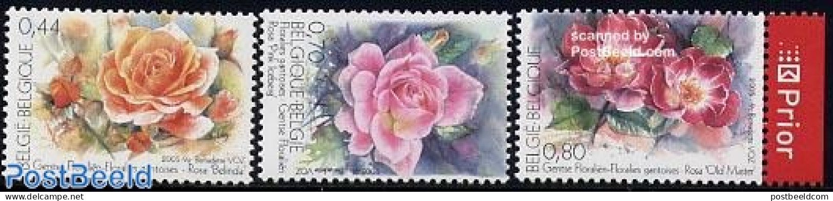 Belgium 2005 Flower Show 3v (1v With Tab), Mint NH, Nature - Various - Flowers & Plants - Roses - Scented Stamps - Nuevos