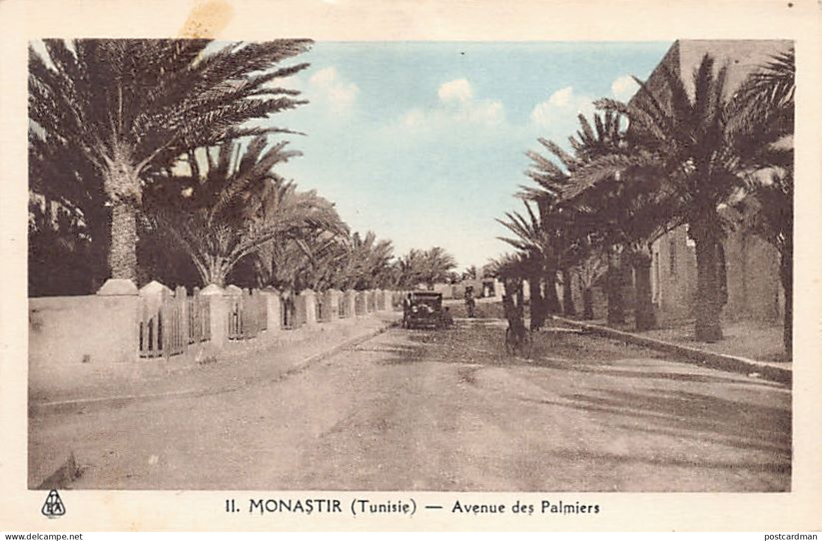 MONASTIR - Avenue Des Palmiers - Tunisie