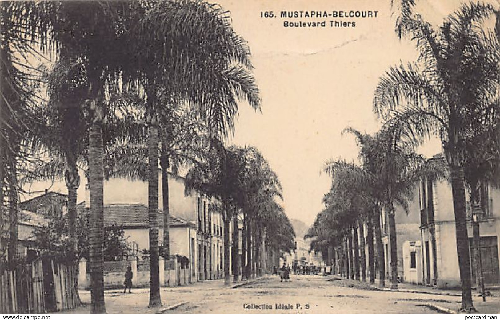 Alger MUSTAPHA BELCOURT - Boulevard Thiers - Ed. Collection Idéale P.S. 165 - Alger