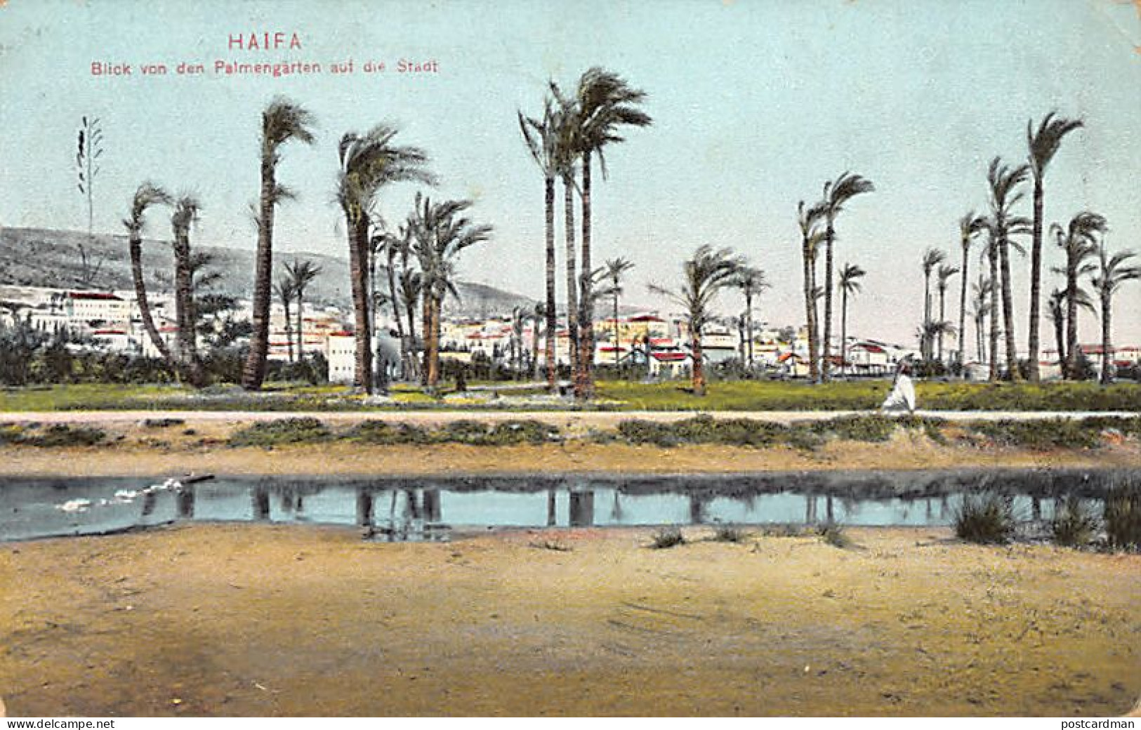 Israel - HAIFA - View Of The City From The Palm Gardens - Publ. Struve & Beck 76844 - Israel