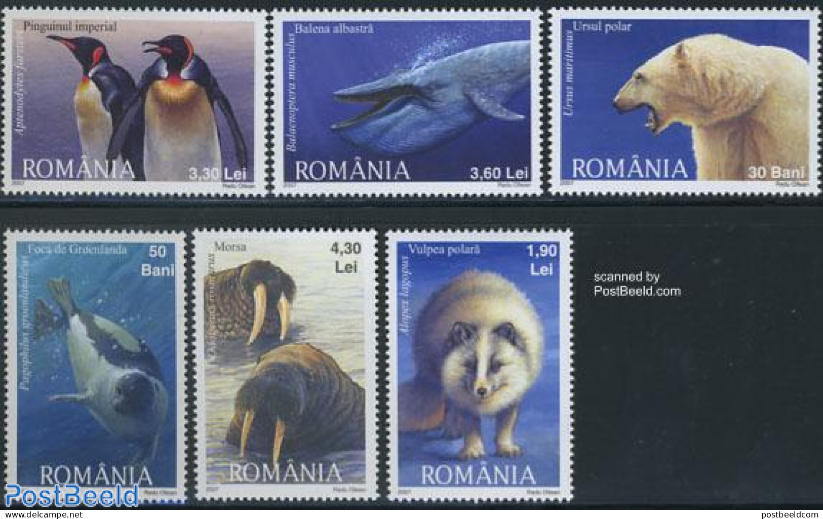 Romania 2007 Polar Animals 6v, Mint NH, Nature - Animals (others & Mixed) - Bears - Birds - Penguins - Sea Mammals - Unused Stamps