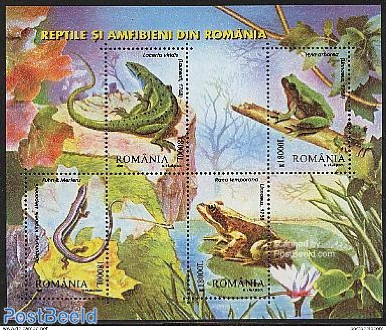 Romania 2003 Reptiles & Amphibians S/s, Mint NH, Nature - Animals (others & Mixed) - Frogs & Toads - Reptiles - Neufs
