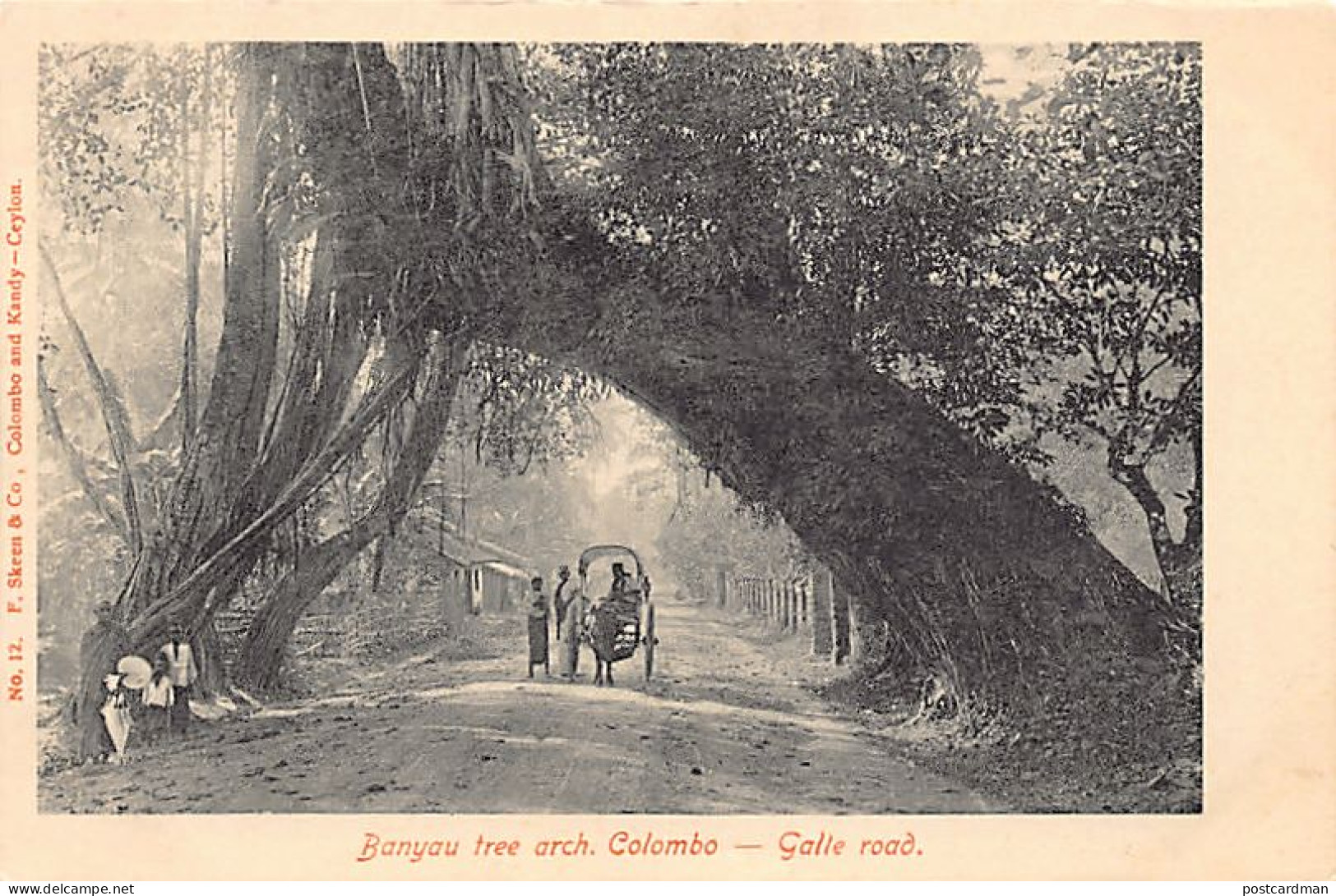 Sri Lanka - COLOMBO - Banyan Tree Arch - Galle Road - Publ. F. Skeen & Co. 12 - Sri Lanka (Ceylon)