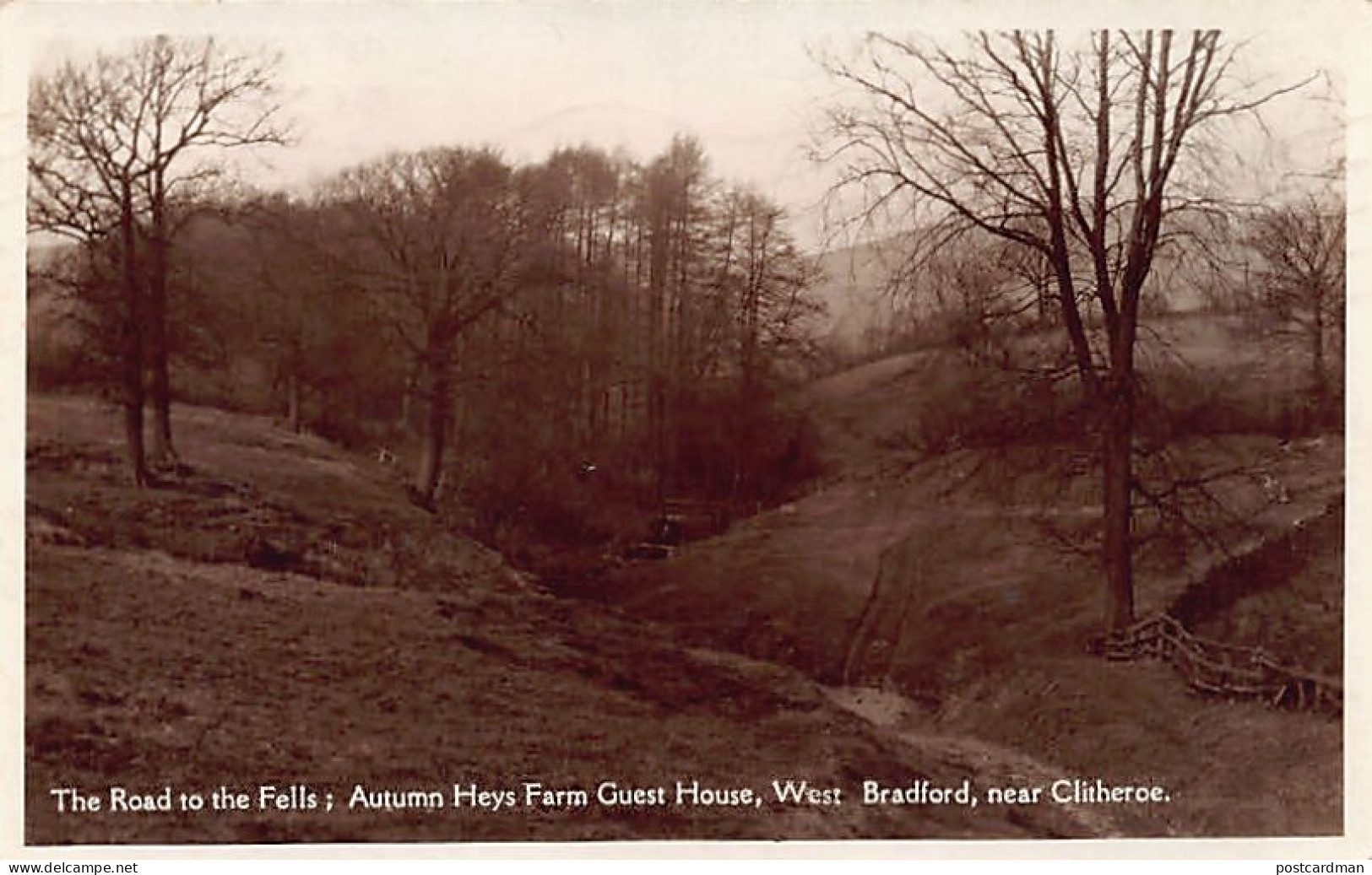 England WEST BRADFORD The Road To The Fells - Autumn Heys Guest House - Other & Unclassified
