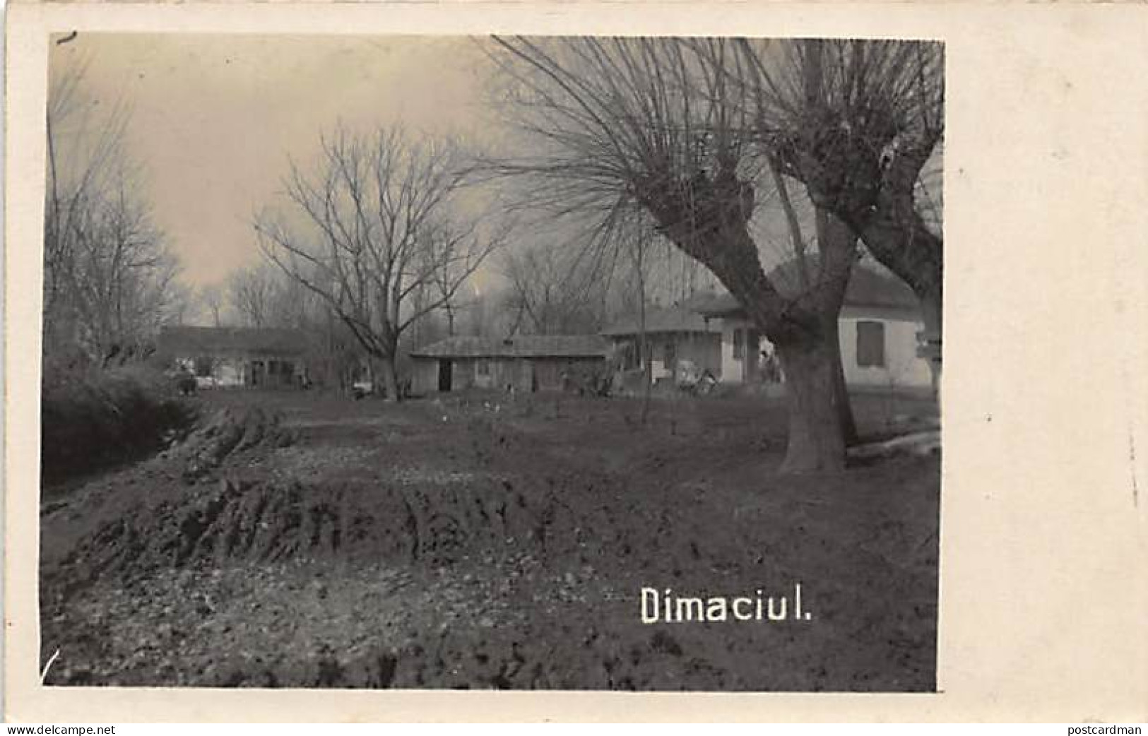 Romania - Dimaciu (Comuna Suraia Dimaciul During German Occupation (World War One) - REAL PHOTO - Romania