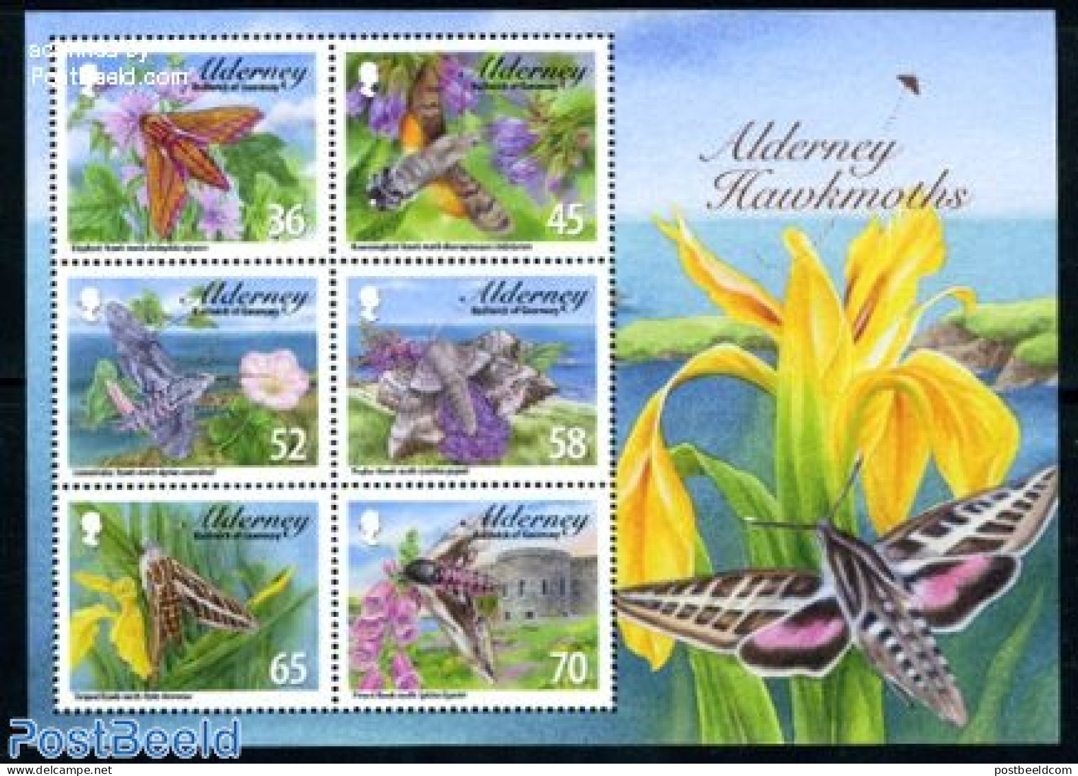 Alderney 2011 Hawkmoths 6v M/s, Mint NH, Nature - Butterflies - Flowers & Plants - Insects - Alderney