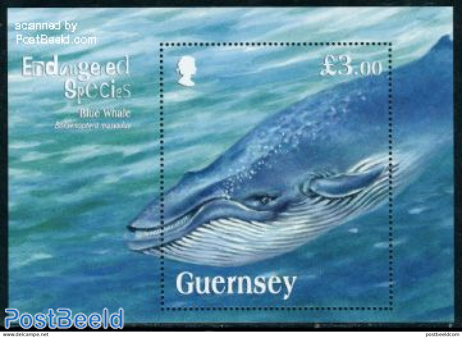 Guernsey 2011 Blue Whale S/s, Mint NH, Nature - Animals (others & Mixed) - Sea Mammals - Guernsey