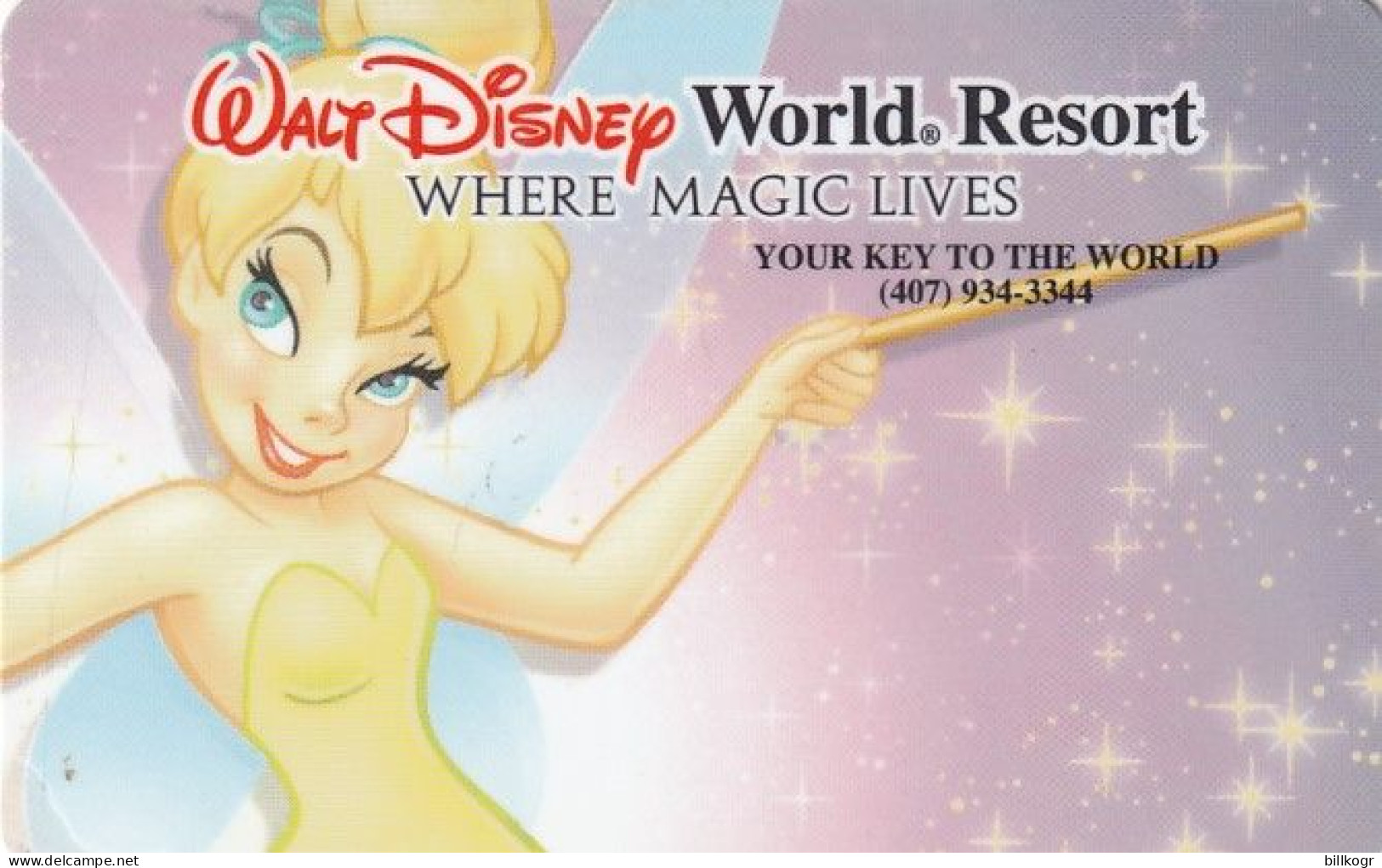 USA - Walt Disney World Resort, Charge Card, Unused - Cartes D'hotel