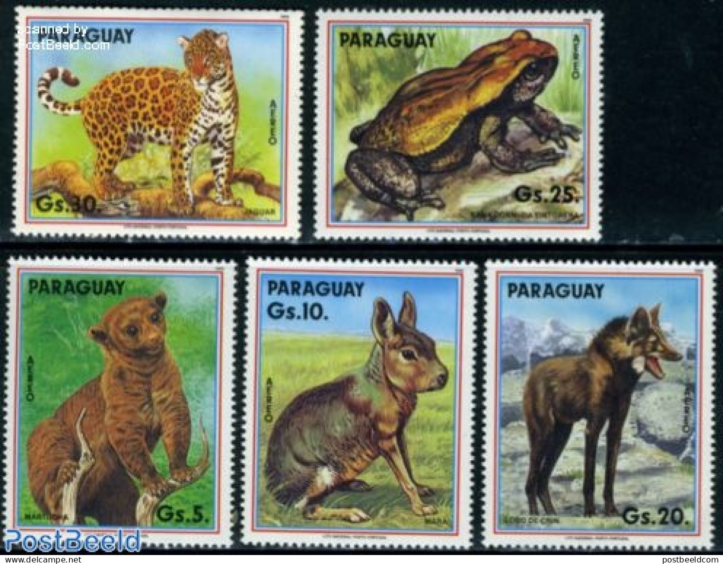 Paraguay 1990 Animals 5v, Mint NH, Nature - Animals (others & Mixed) - Cat Family - Frogs & Toads - Paraguay