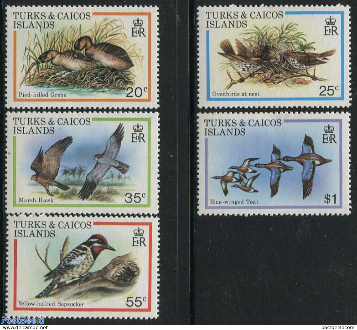 Turks And Caicos Islands 1980 Birds 5v, Mint NH, Nature - Birds - Woodpeckers - Geese - Autres & Non Classés