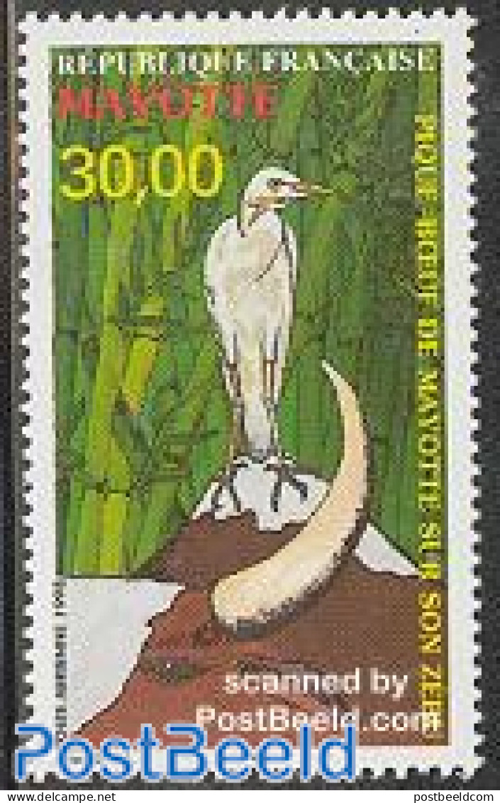 Mayotte 1998 Pique Boeuf 1v, Mint NH, Nature - Birds - Autres & Non Classés