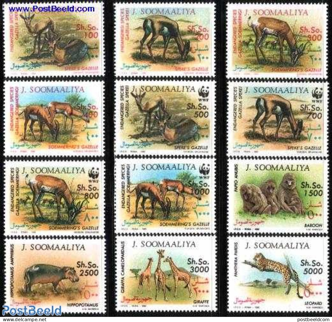 Somalia 1992 Animals 12v, Mint NH, Nature - Animals (others & Mixed) - Cat Family - Giraffe - Hippopotamus - Monkeys -.. - Somalia (1960-...)
