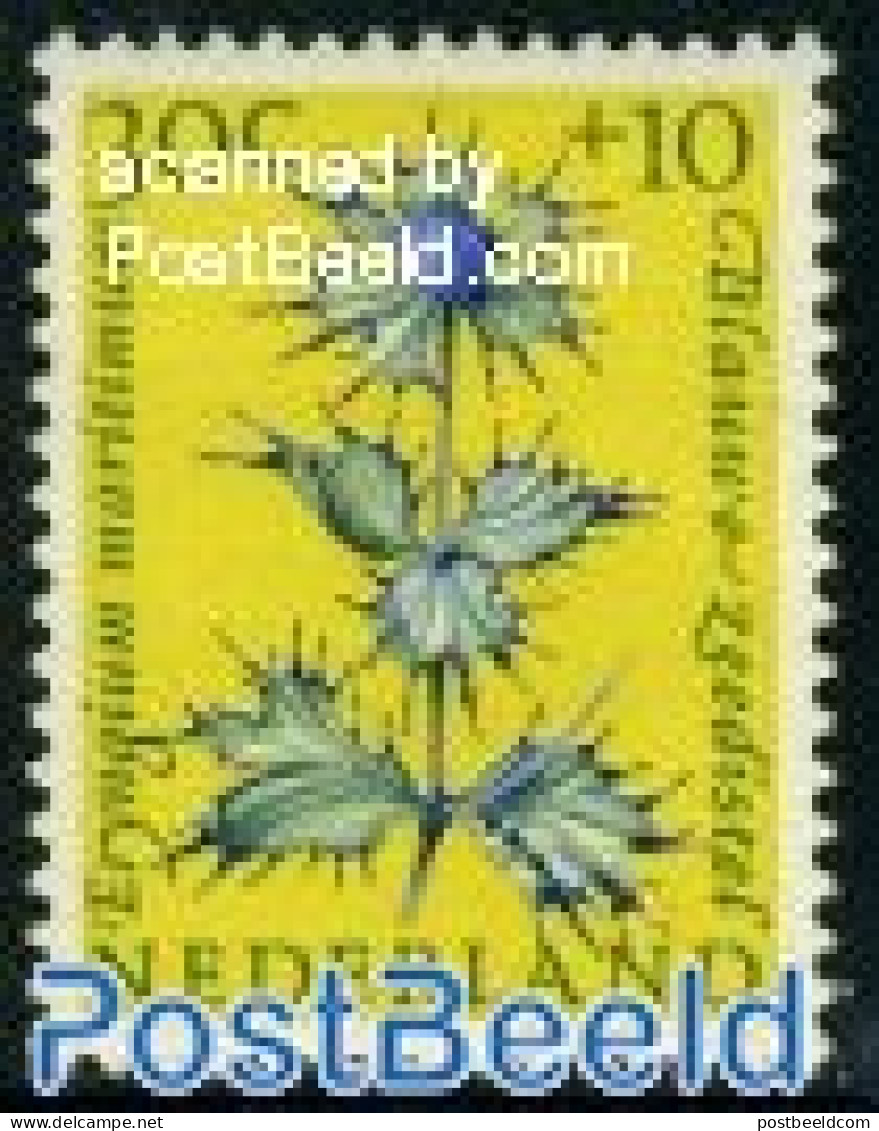 Netherlands 1960 30+10c,Eryngium Maritimum, Stamp Out Of Set, Mint NH, Nature - Flowers & Plants - Unused Stamps