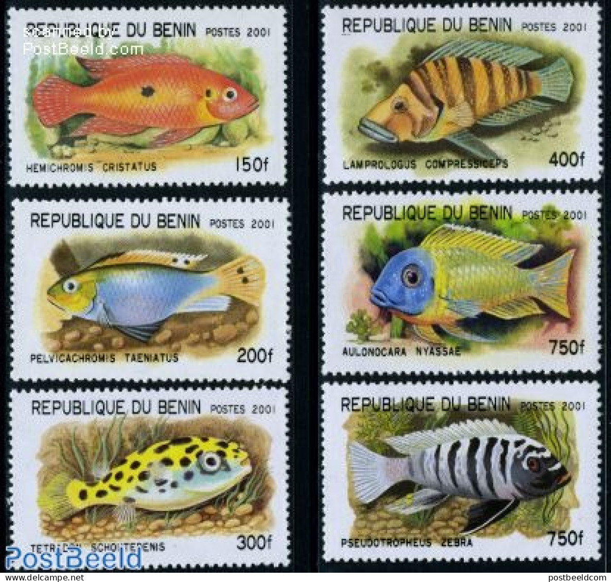 Benin 2001 African Fish 6v, Mint NH, Nature - Fish - Unused Stamps