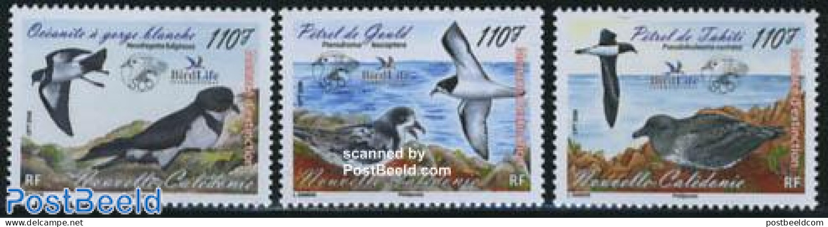 New Caledonia 2008 Bird Life 3v, Mint NH, Nature - Bird Life Org. - Birds - Unused Stamps