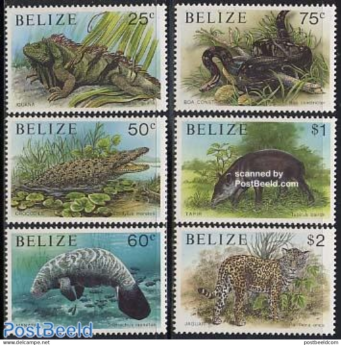 Belize/British Honduras 1991 Animals 6v, Mint NH, Nature - Animals (others & Mixed) - Cat Family - Crocodiles - Reptil.. - Honduras Britannique (...-1970)