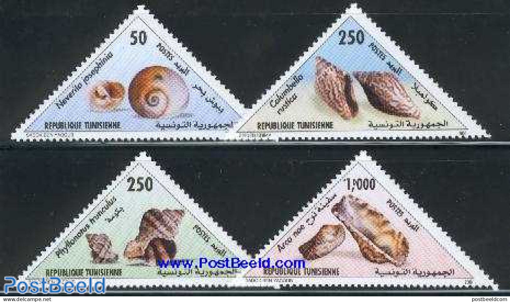 Tunisia 2000 Shells 4v, Mint NH, Nature - Shells & Crustaceans - Maritiem Leven