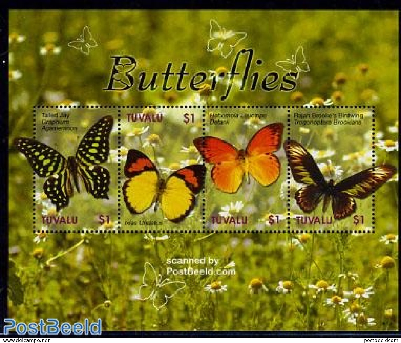 Tuvalu 2006 Butterflies 4v M/s, Mint NH, Nature - Butterflies - Autres & Non Classés