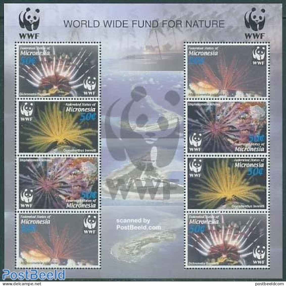 Micronesia 2005 WWF, Corals 2x4v M/s, Mint NH, Nature - World Wildlife Fund (WWF) - Micronésie