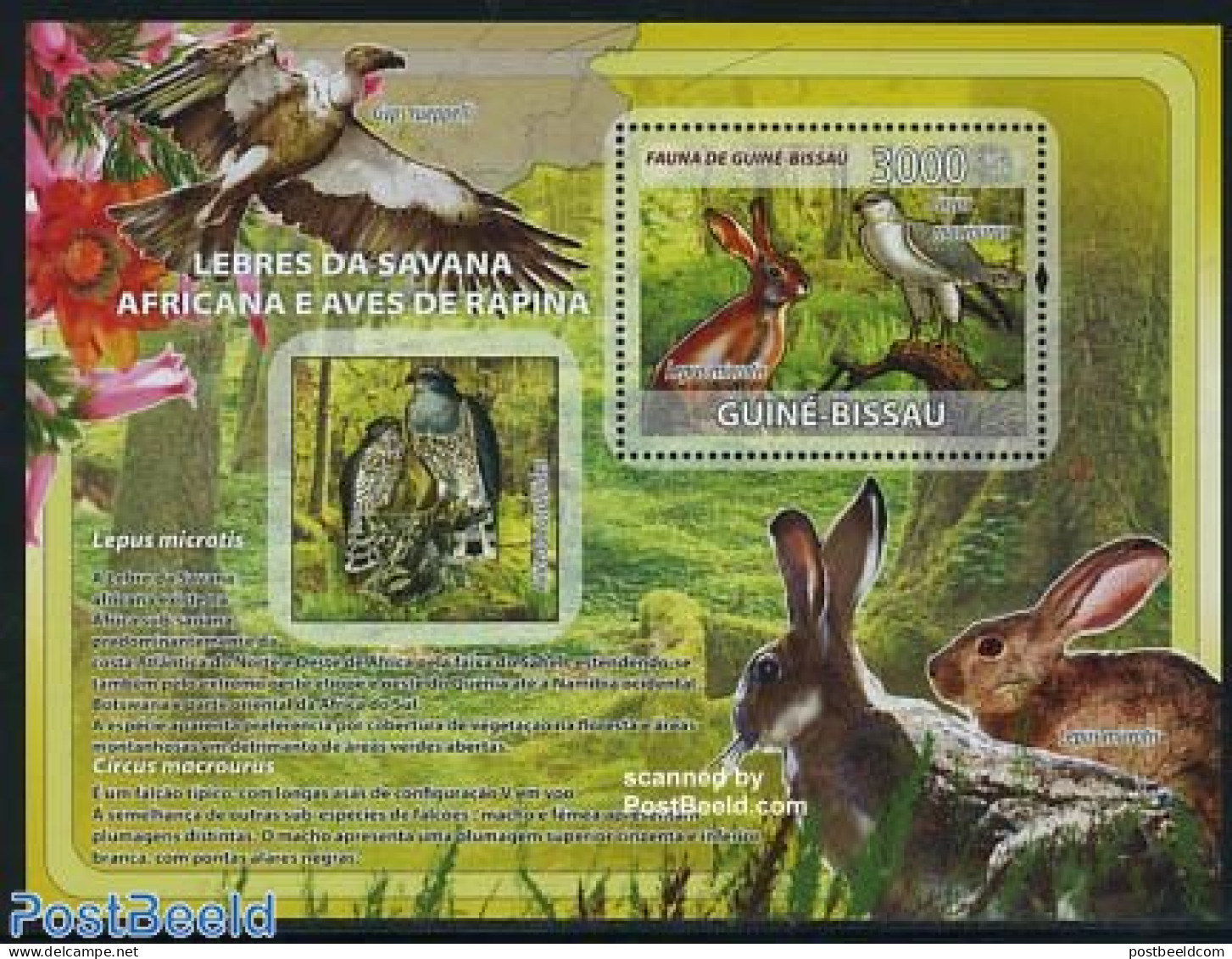 Guinea Bissau 2008 Rabbit & Bird S/s, Mint NH, Nature - Birds - Birds Of Prey - Rabbits / Hares - Guinée-Bissau