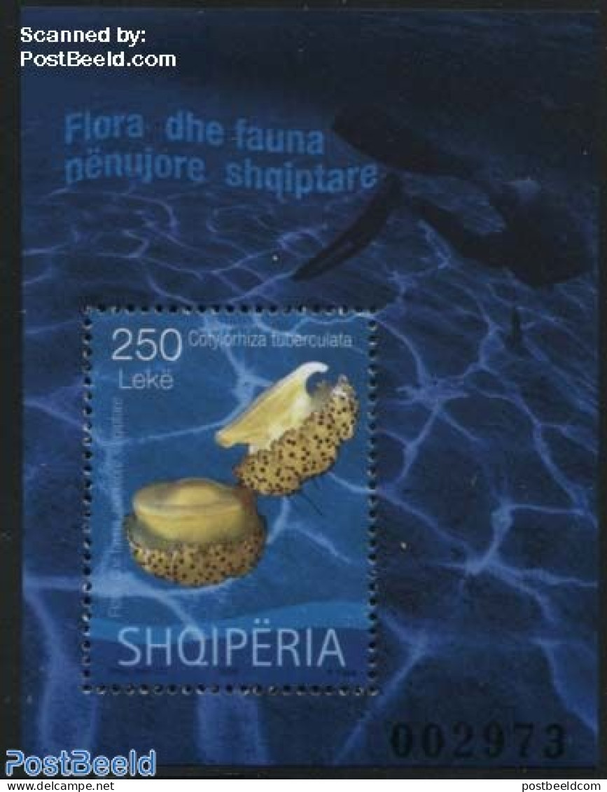 Albania 2015 Marine Life S/s, Mint NH, Nature - Shells & Crustaceans - Vie Marine