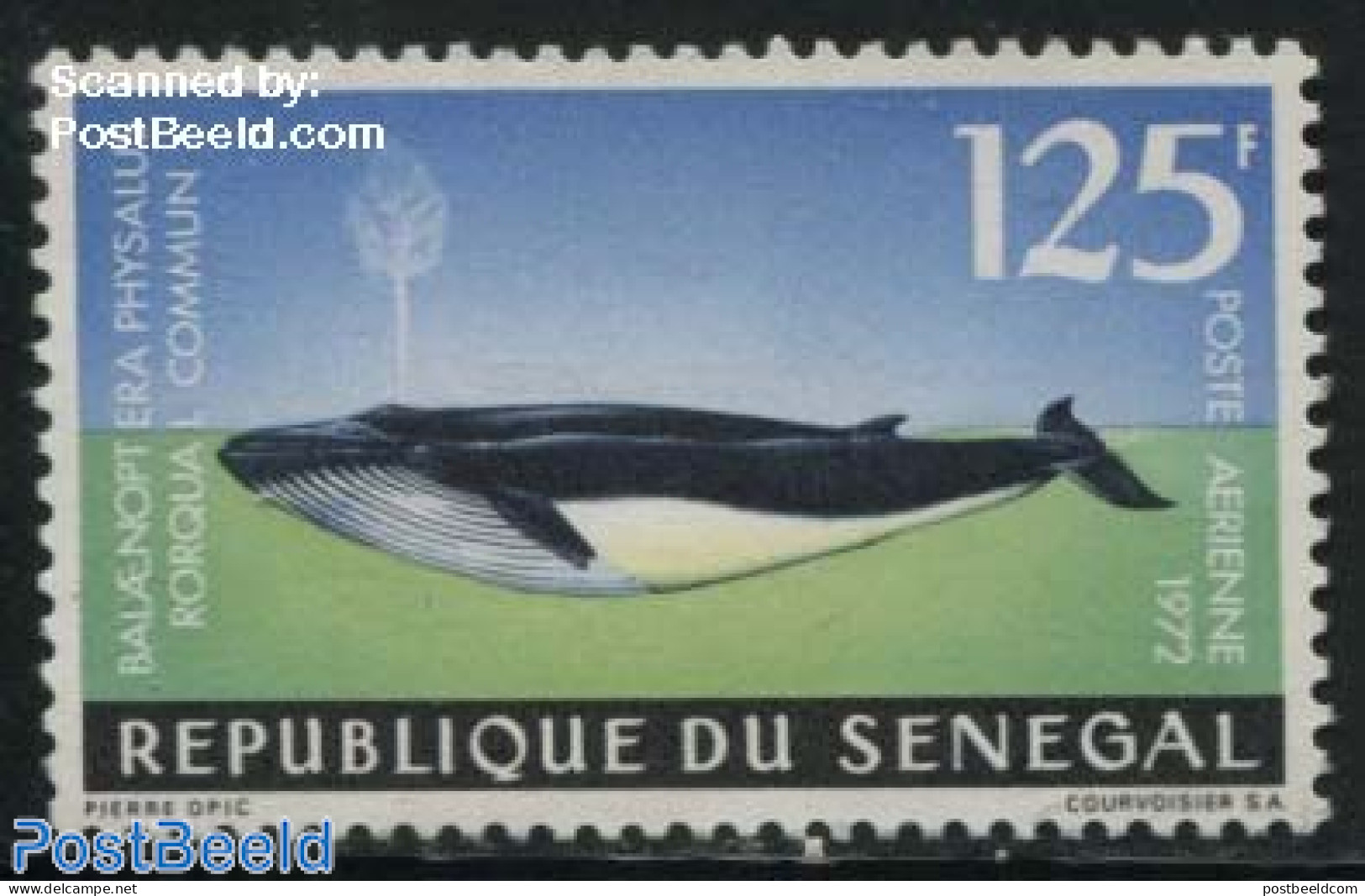 Senegal 1972 125F, Stamp Out Of Set, Mint NH, Nature - Sea Mammals - Senegal (1960-...)