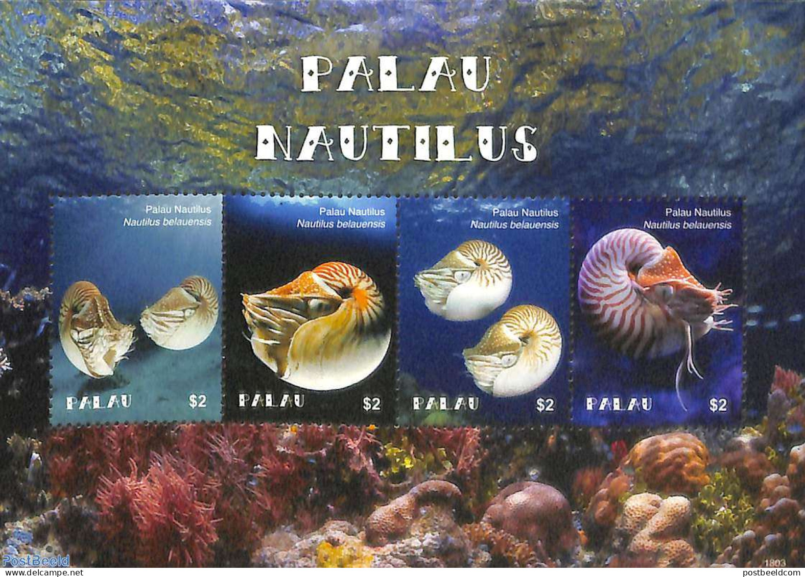 Palau 2018 Nautilus 4v M/s, Mint NH, Nature - Shells & Crustaceans - Marine Life