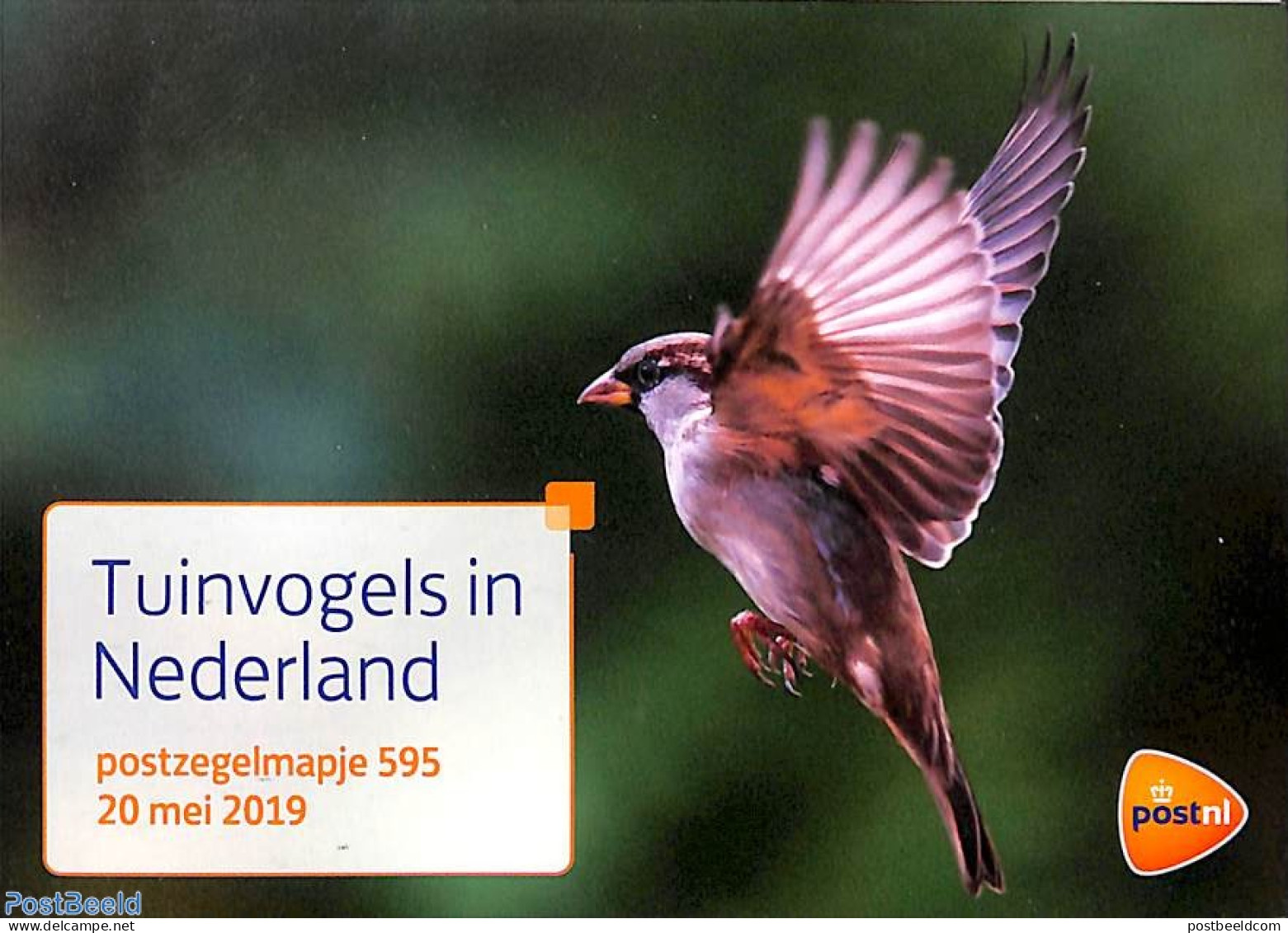Netherlands 2019 Garden Birds, Presentation Pack 595, Mint NH, Nature - Birds - Neufs