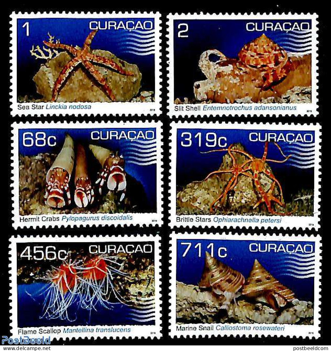 Curaçao 2019 Shellfish 6v, Mint NH, Nature - Shells & Crustaceans - Vie Marine