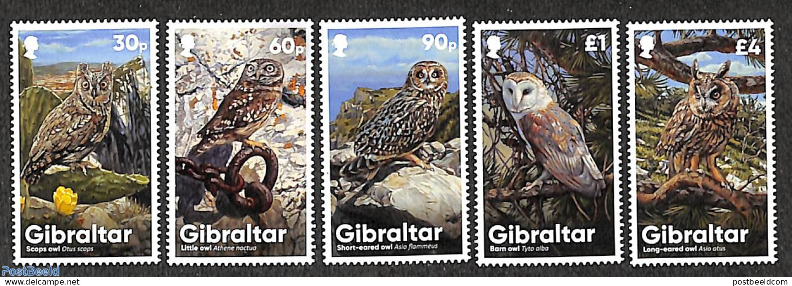 Gibraltar 2020 Owls 5v, Mint NH, Nature - Birds - Birds Of Prey - Owls - Gibraltar