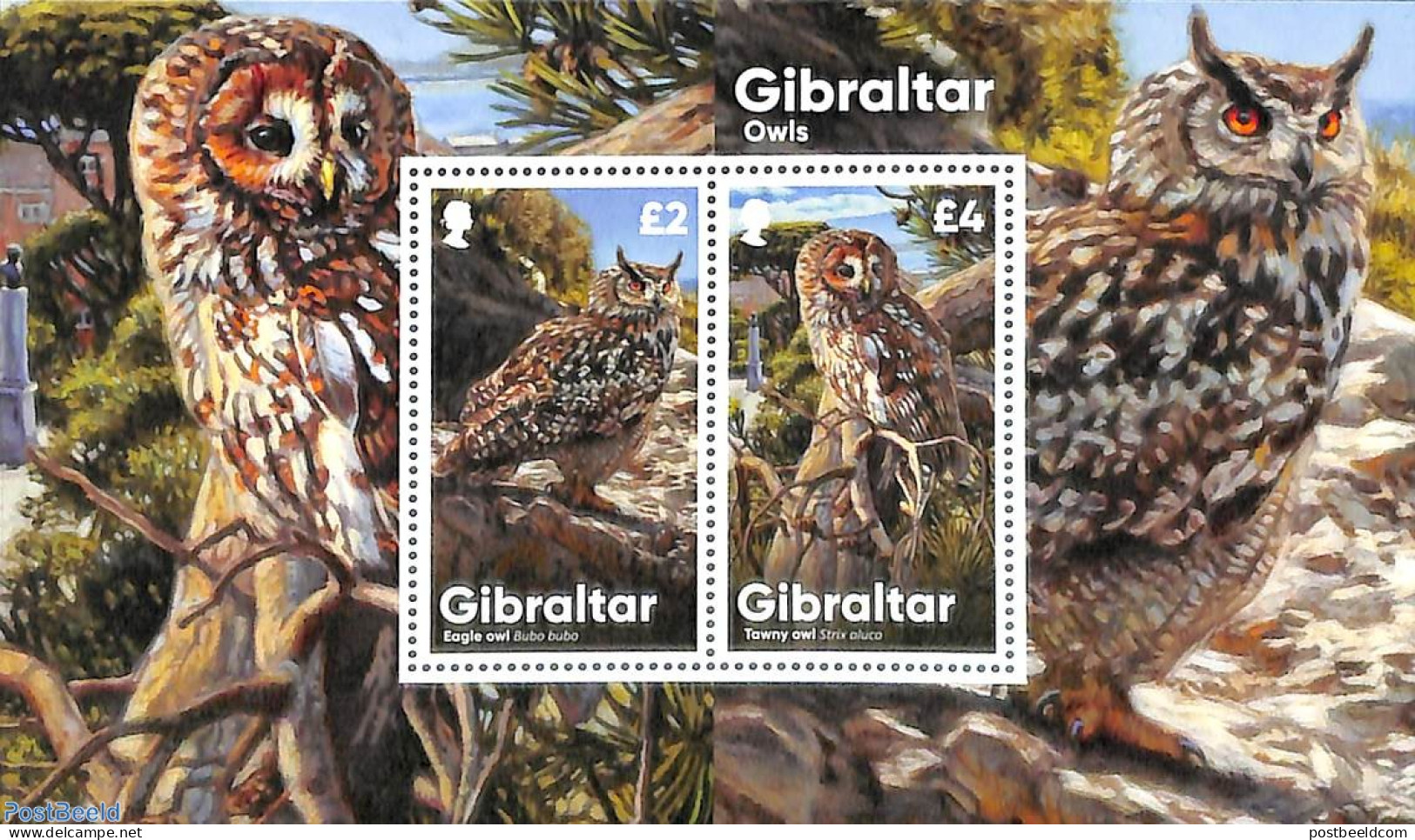 Gibraltar 2020 Owls S/s, Mint NH, Nature - Birds - Birds Of Prey - Owls - Gibraltar