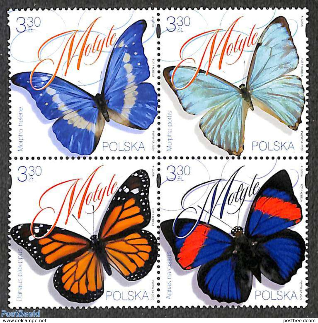 Poland 2020 Butterflies 4v [+] Or [:::], Mint NH, Nature - Butterflies - Unused Stamps
