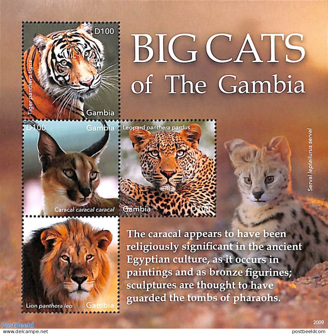 Gambia 2020 Big Cats Of Gambia 4v M/s, Mint NH, Nature - Animals (others & Mixed) - Cat Family - Wild Mammals - Gambie (...-1964)