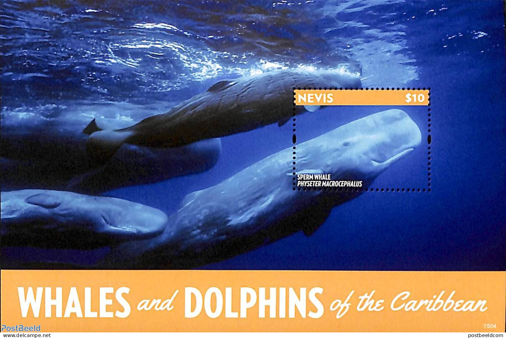 Nevis 2015 Sperm Whale S/s, Mint NH, Nature - Sea Mammals - St.Kitts-et-Nevis ( 1983-...)