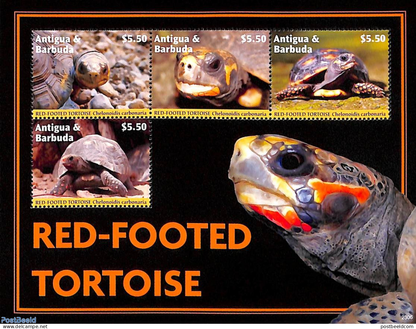 Antigua & Barbuda 2023 Red-Footed Tortoise 4v M/s, Mint NH, Nature - Reptiles - Turtles - Antigua Et Barbuda (1981-...)