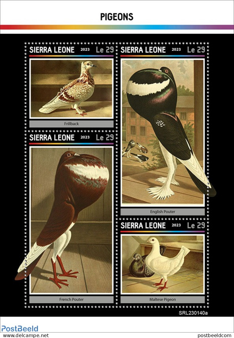 Sierra Leone 2023 Pigeons, Mint NH, Nature - Birds - Pigeons - Autres & Non Classés