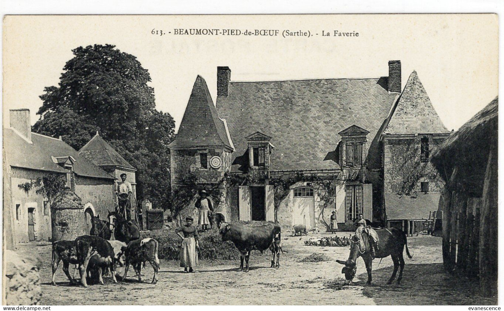 Beaumont  Pied De Boeuf : Ferme De La Faverie    ///  Ref. Mai 24 ///  BO. 72 - Beaumont Sur Sarthe