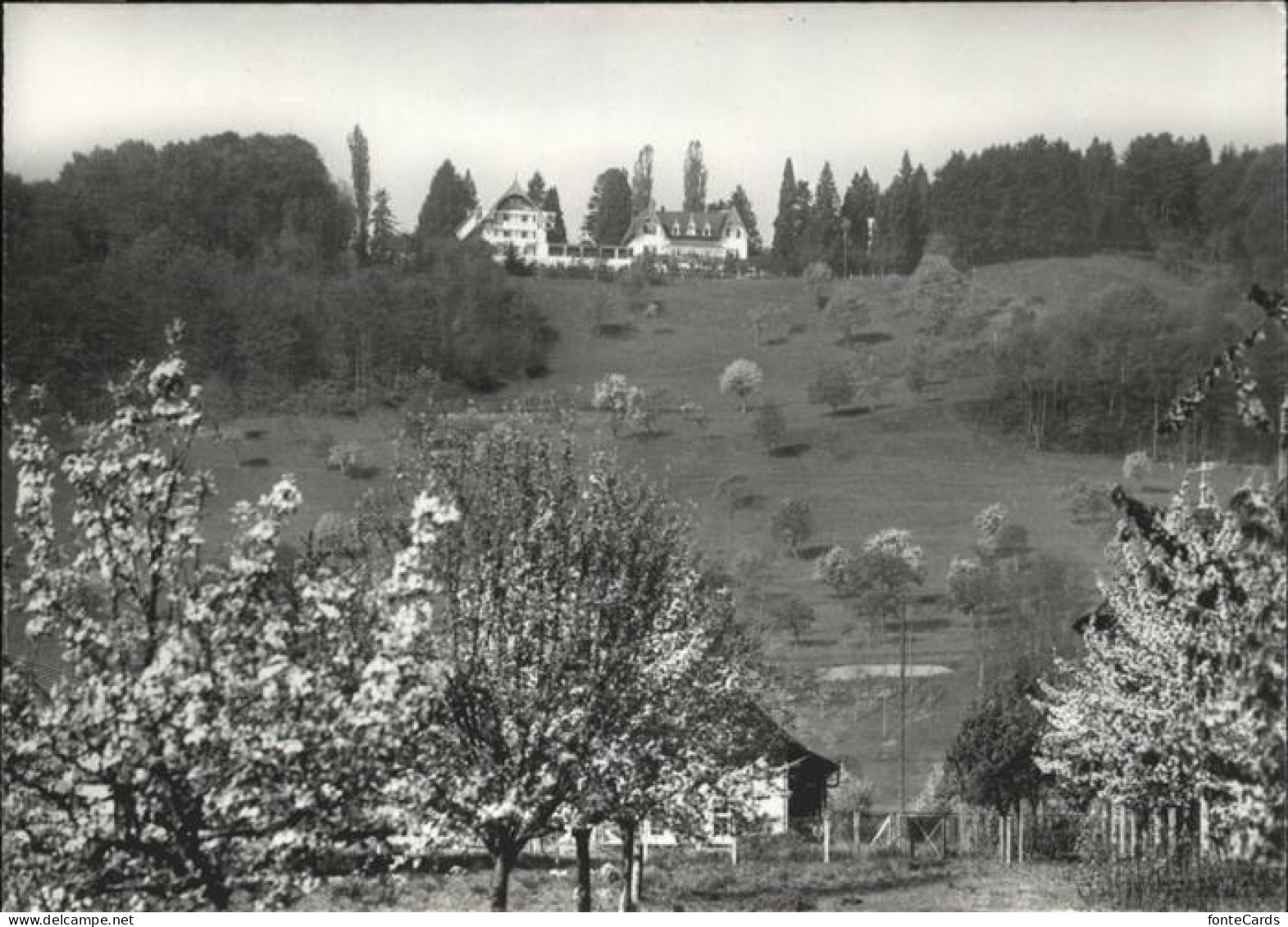 11181596 Liestal Bibelschule, Ferienheim Liestal - Other & Unclassified