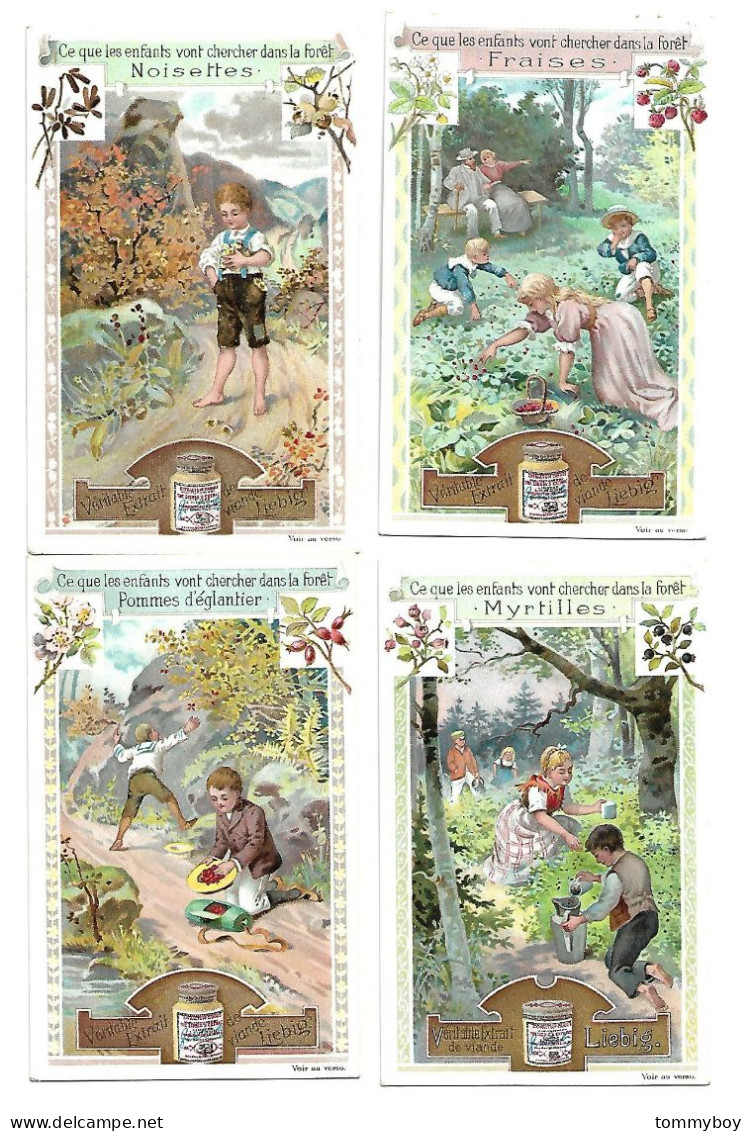 S 664, Liebig 6 Cards, Ce Que Les Enfants Vont Chercher Dans La Forêt  (ref B16) - Liebig
