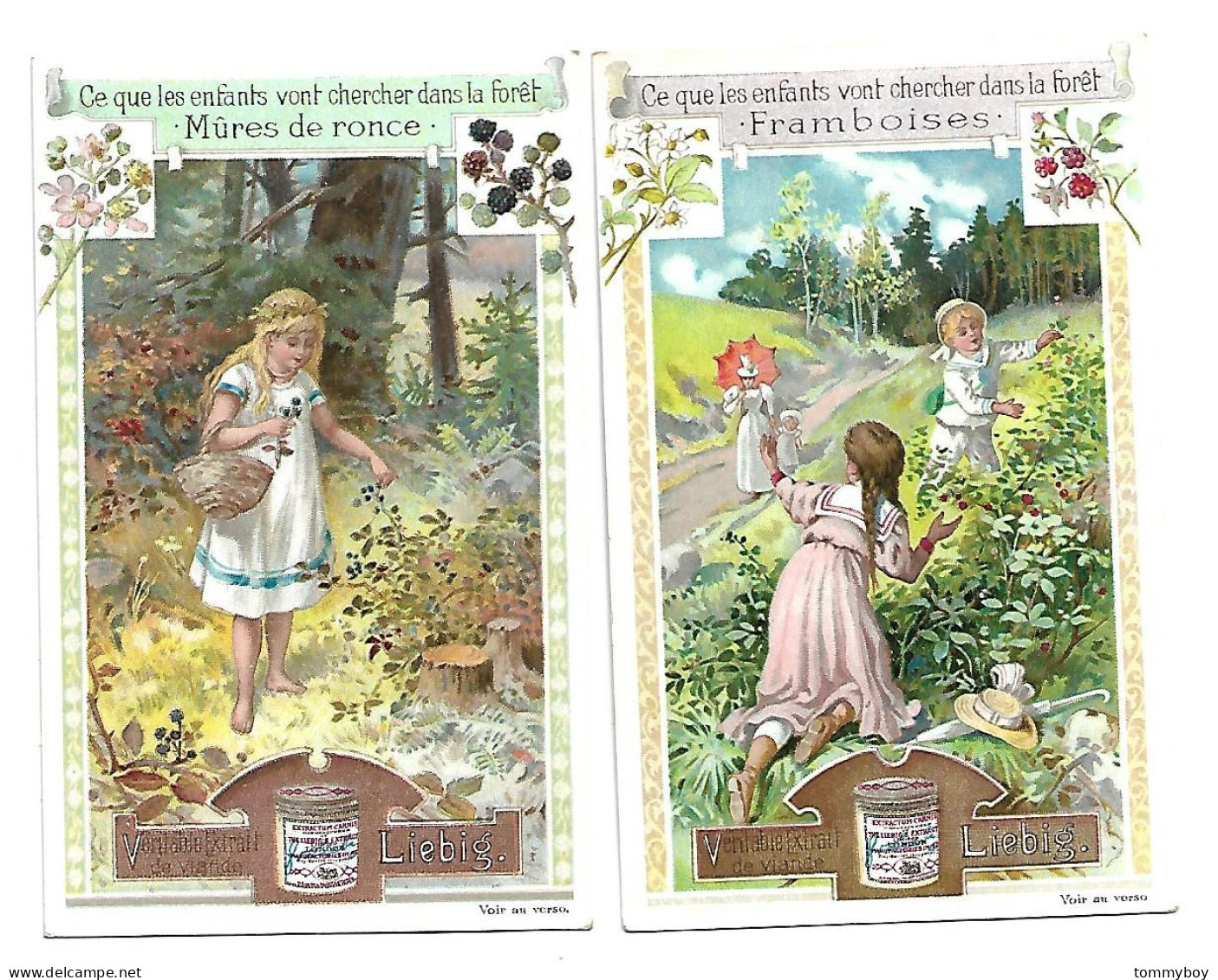S 664, Liebig 6 Cards, Ce Que Les Enfants Vont Chercher Dans La Forêt  (ref B16) - Liebig