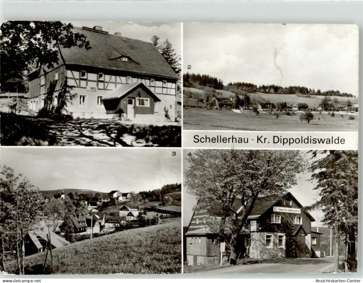 51887411 - Schellerhau - Altenberg