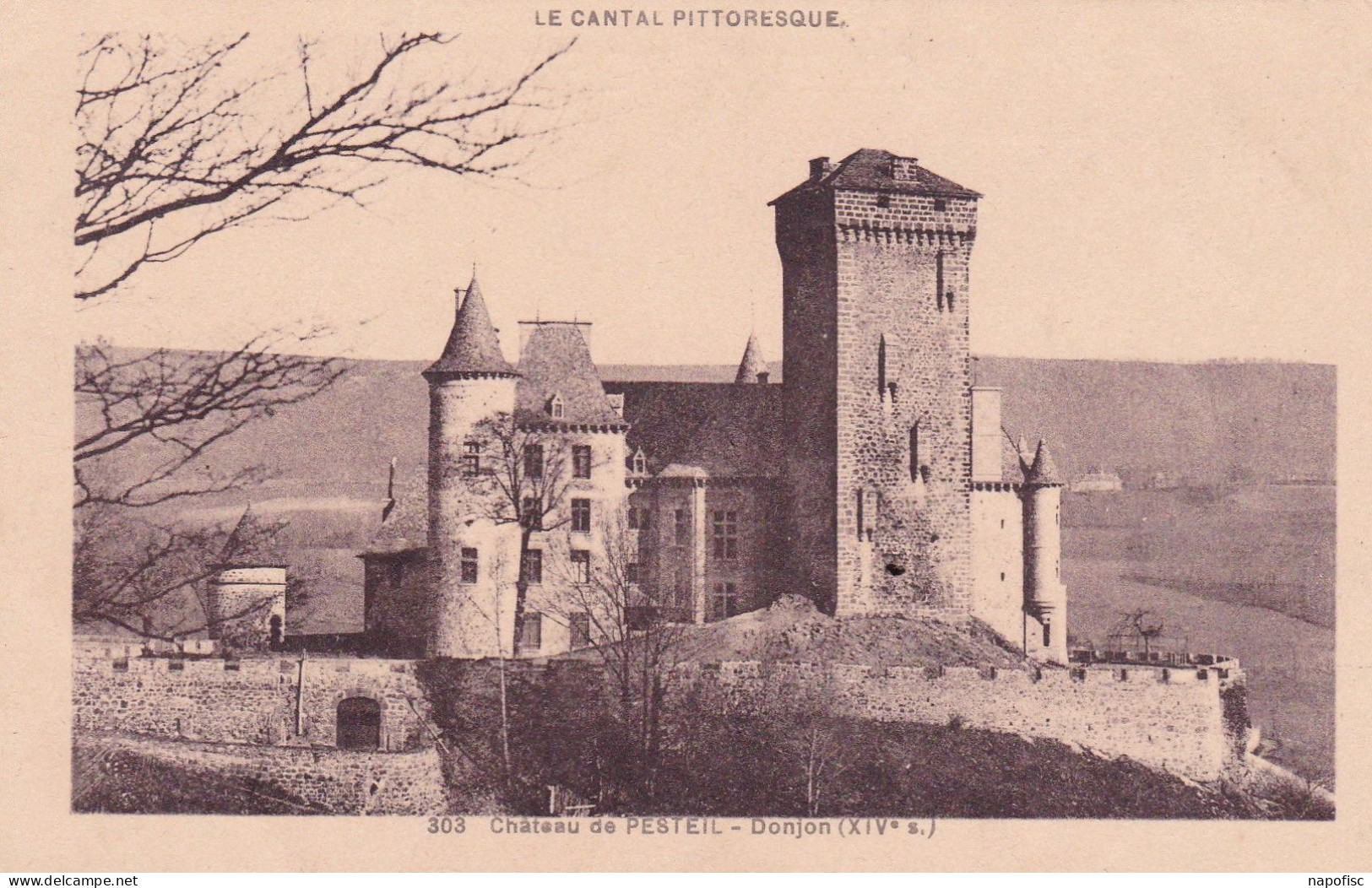 15-Chateau De Pesteil - Andere & Zonder Classificatie