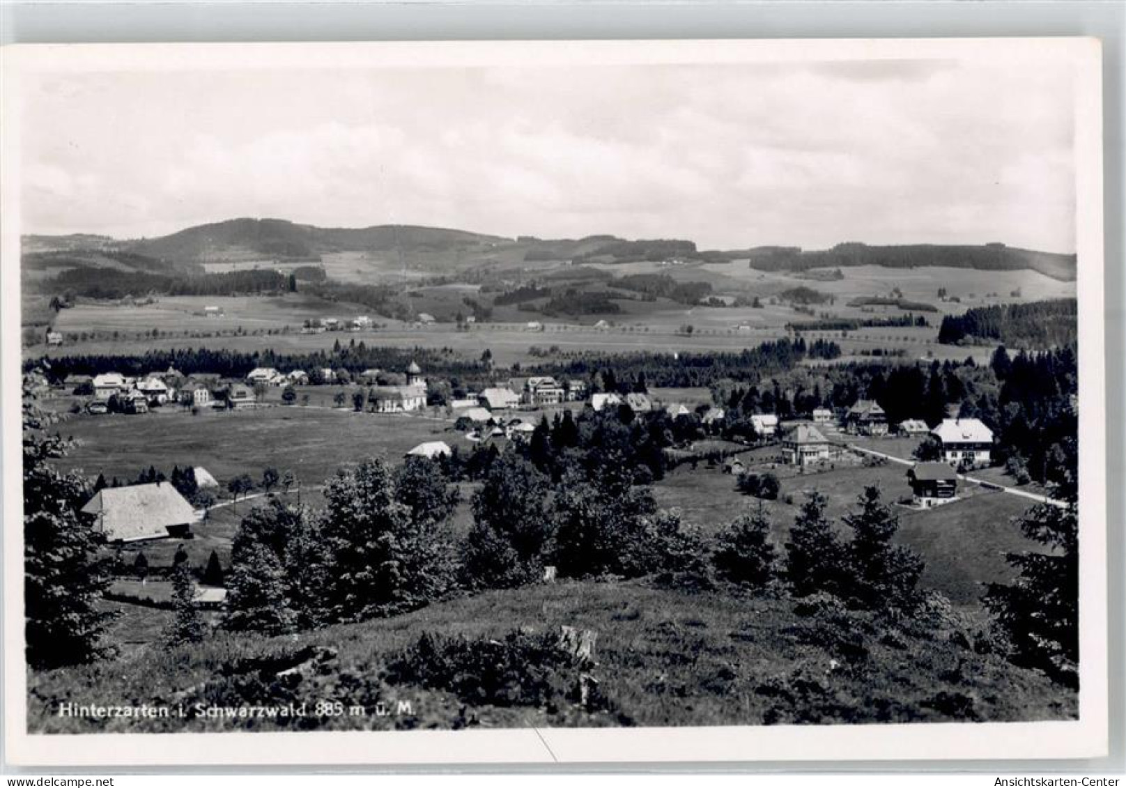 51660211 - Hinterzarten - Hinterzarten