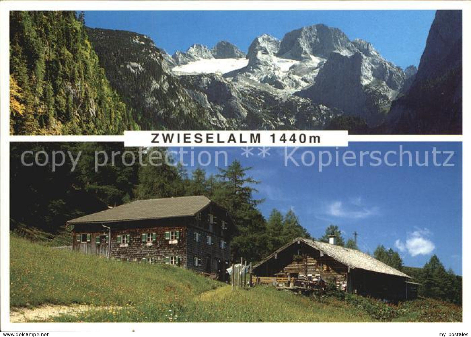 72576959 Gosau Oberoesterreich Zwieselalm Almwirtschaft Gosau Salzkammergut - Other & Unclassified