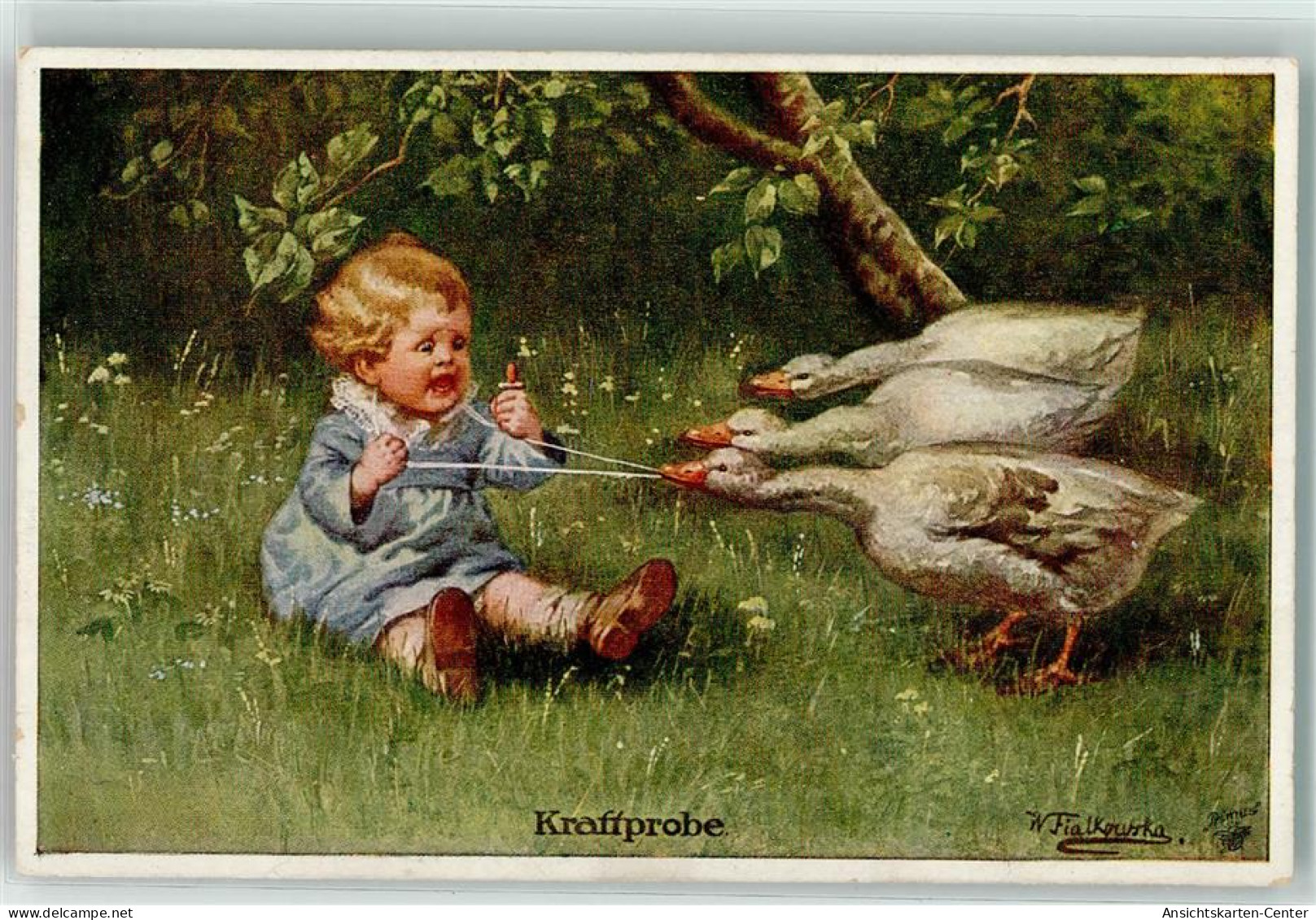 39183311 - Sign. Fialkowska, W.  Baby Kraftprobe AK - Oiseaux